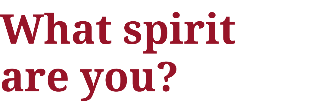 What spirit are you 