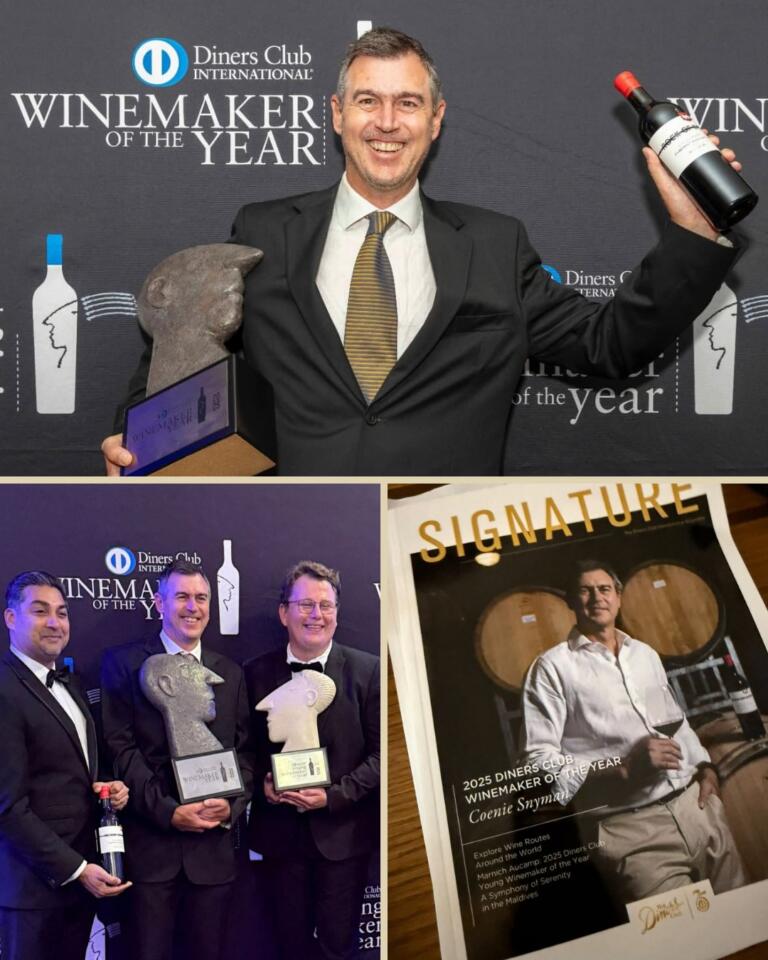 Instagram post from 20vin_mauritius. This post is in position 2.