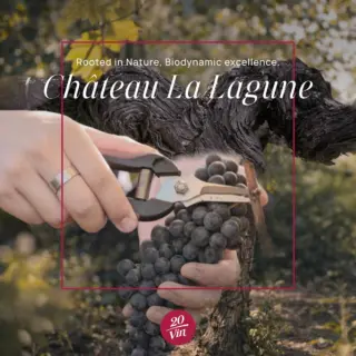 Instagram post from 20vin_mauritius. This post is in position 1.