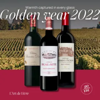 Instagram post from 20vin_mauritius. This post is in position 3.