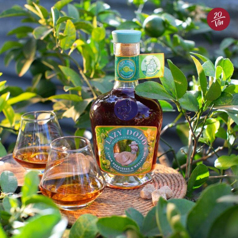 Instagram post from 20vin_mauritius. This post is in position 9.